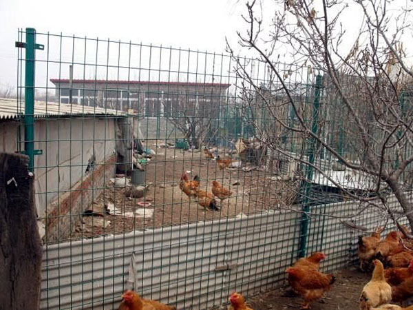 養(yǎng)殖護(hù)欄網(wǎng)圖片1