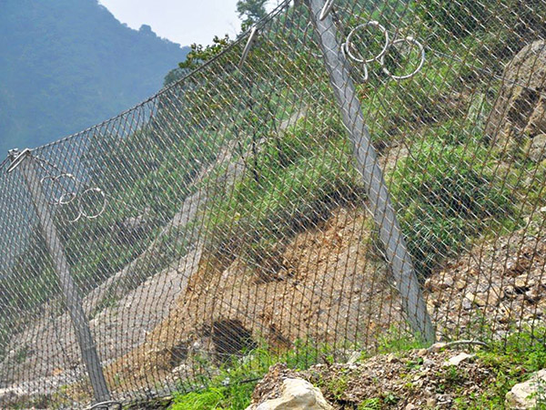 邊坡植被綠化圖片2