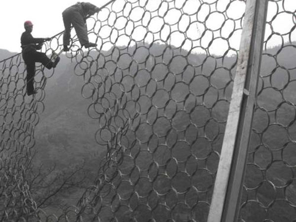 環(huán)形網(wǎng)圖片3