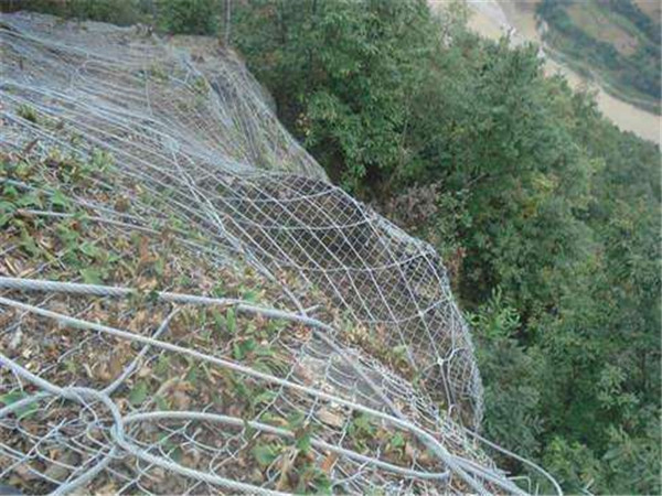 邊坡植被綠化圖片4