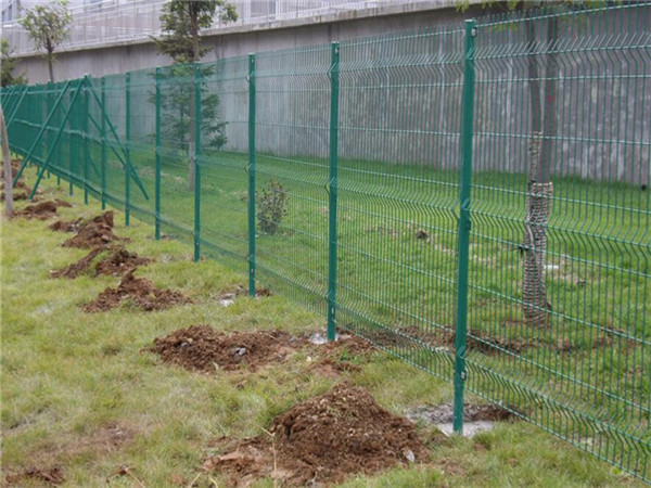 雙邊絲護(hù)欄網(wǎng)圖片3