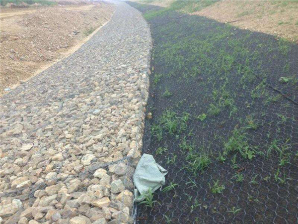 加筋麥克墊圖片2