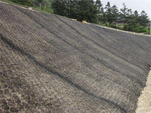 加筋麥克墊圖片3