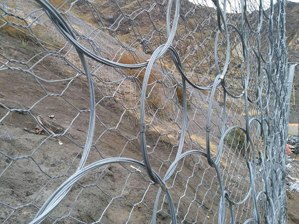 環(huán)形網(wǎng)圖片4