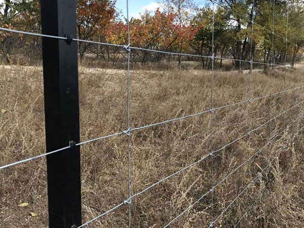 纏繞型網(wǎng)圍欄圖片3