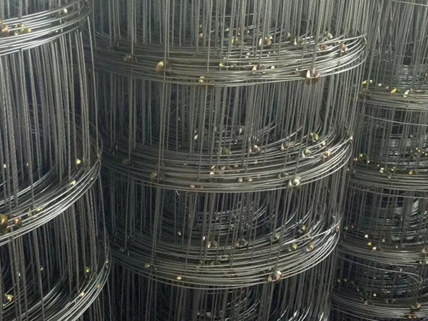 環(huán)扣網(wǎng)圍欄圖片2