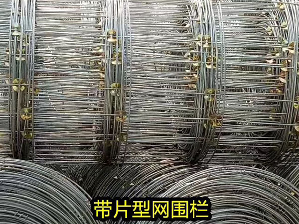 環(huán)扣網(wǎng)圍欄圖片3