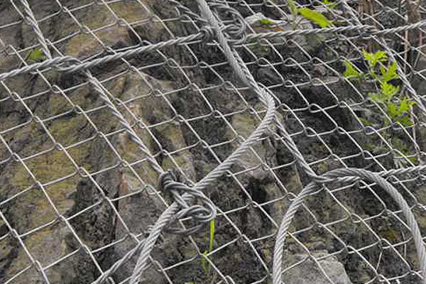 主動(dòng)防護(hù)網(wǎng)圖片6