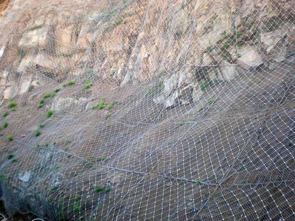 邊坡植被綠化圖片5