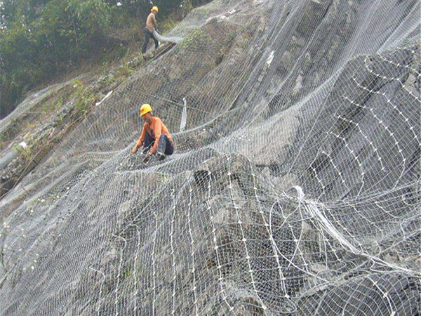 邊坡植被綠化圖片6