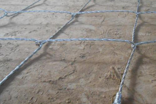 蜘蛛網(wǎng)圖片6