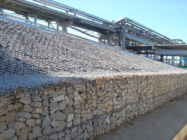 雷諾護(hù)墊圖片6