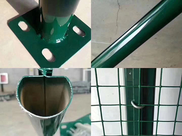 荷蘭網(wǎng)圖片2