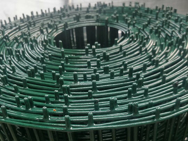 荷蘭網(wǎng)圖片6