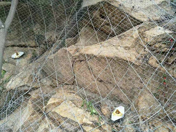 蜘蛛網(wǎng)圖片3