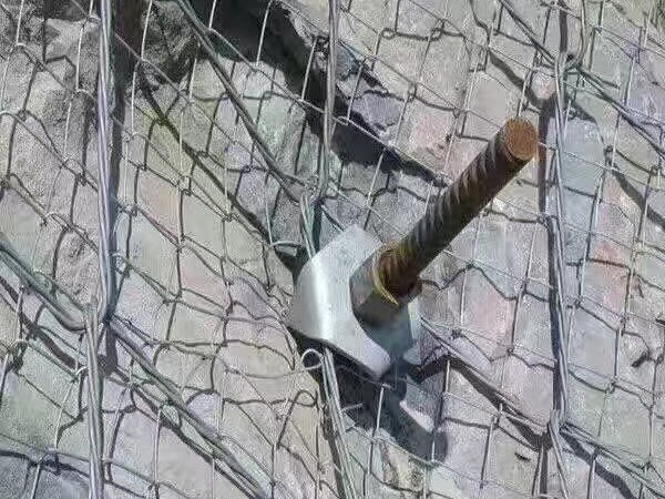 蜘蛛網(wǎng)圖片5