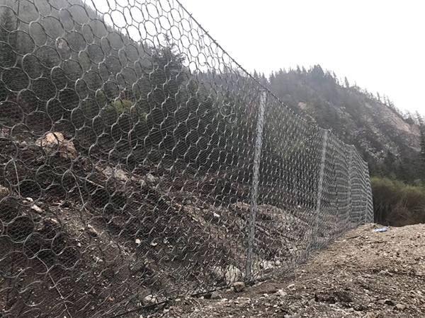 環(huán)形網(wǎng)圖片1