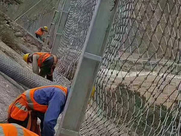 環(huán)形網(wǎng)圖片2