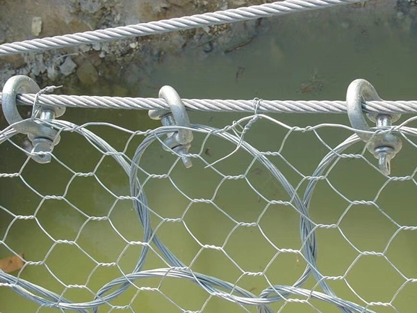 環(huán)形網(wǎng)圖片6