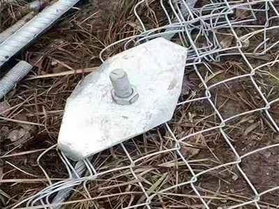 鈦克網(wǎng)圖片2