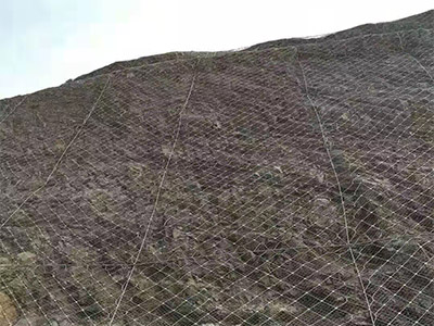 鈦克網(wǎng)圖片3