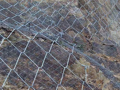 鈦克網(wǎng)圖片4