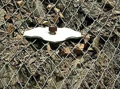 鈦克網(wǎng)圖片5