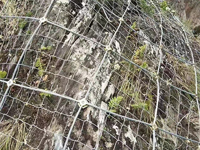 鈦克網(wǎng)圖片6