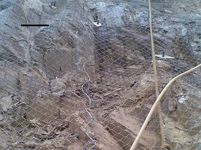 護(hù)坡勾花網(wǎng)圖片4