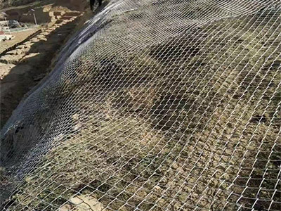 護(hù)坡勾花網(wǎng)圖片6